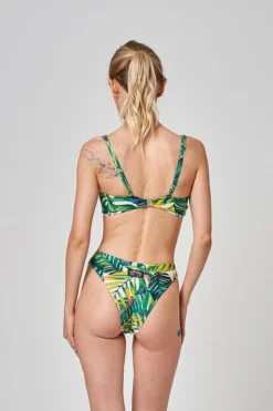 Shark Polewear Boston Shorts - Green Fern