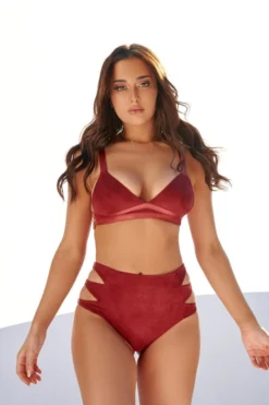 All Pole Wear Creatures Of XIX Aphrodite High Waist Bottoms - Maroon Suede