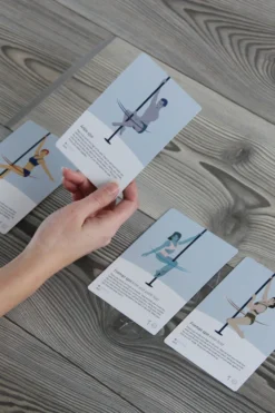 Books Pole Deck Duo Pack - Basic Spins & Transitions And Climb & Sits