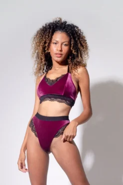 All Pole Wear Sorte Velvet Adore Shorts - Plum