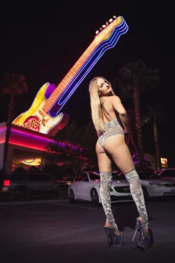 Accessories Paradise Chick Animal Leg Warmers (with Kneepads) - Silver Velvet