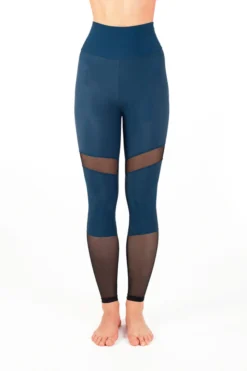 Dragonfly Barbara Leggings - Petrol Mesh All Pole Wear