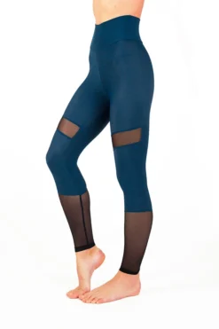 Dragonfly Barbara Leggings - Petrol Mesh All Pole Wear