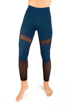 Dragonfly Barbara Leggings - Petrol Mesh All Pole Wear