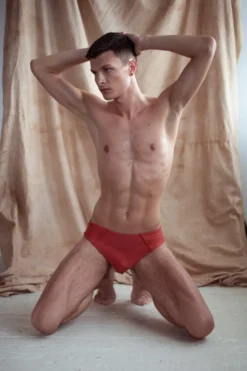 Sway Alton Shorts - Rusty Jasper New In