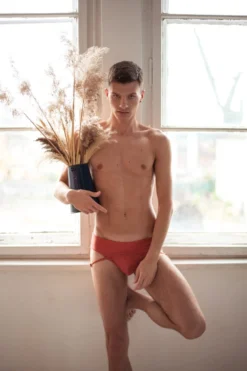 Sway Nathan Shorts - Rusty Jasper New In