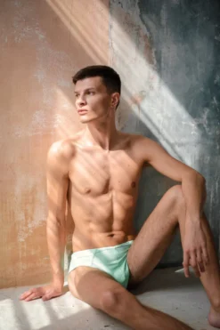 New In Sway Alton Shorts - Green Aventurine