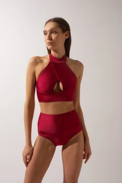 All Pole Wear Shark Polewear High Waist Shorts - Wine