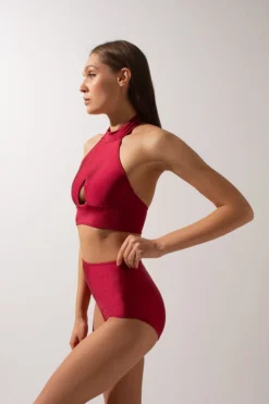 All Pole Wear Shark Polewear High Waist Shorts - Wine