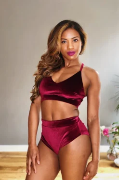 REV ACTIV High Waist Shorts - Wine Velvet All Pole Wear