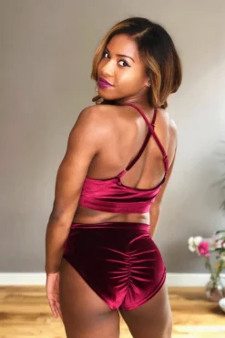 REV ACTIV High Waist Shorts - Wine Velvet All Pole Wear