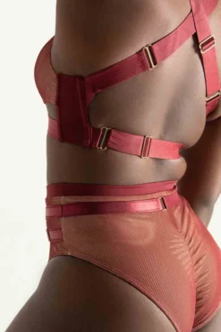 New In Tatiana Activewear Yuki Shorts - Burgundy Mesh