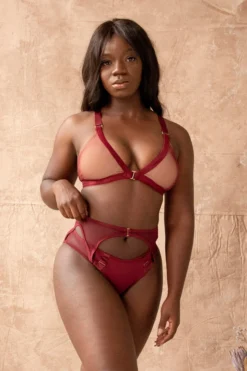 All Pole Wear Tatiana Activewear Kaizen Shorts - Burgundy