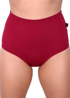 Cleo The Hurricane Essential High Waisted Shorts - Merlot All Pole Wear