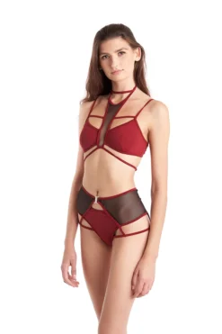 All Pole Wear Hamade Activewear High Waisted Mesh Garter Bottoms - Brick Red