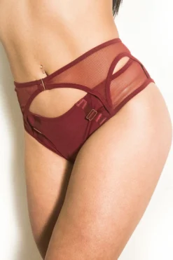 All Pole Wear Tatiana Activewear Kaizen Shorts - Burgundy