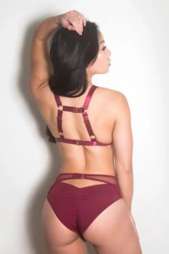 All Pole Wear Tatiana Activewear Kaizen Shorts - Burgundy