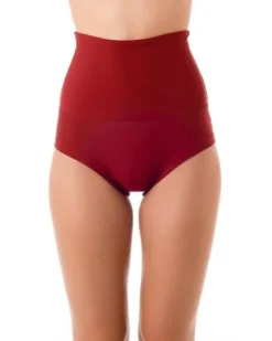 Dragonfly Betty High-Waisted Shorts - Burgundy All Pole Wear