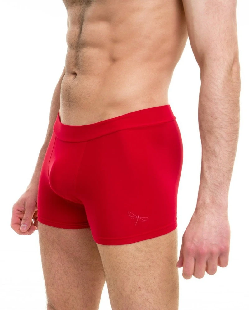 Dragonfly Mike Shorts - Red All Pole Wear