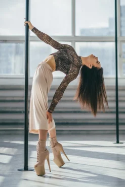 REV ACTIV Wild Leopard Long Sleeved Crop Top All Pole Wear