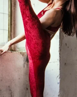 Dragonfly Adrianna Leggings - Velvet Red