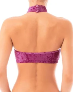 All Pole Wear Dragonfly Lisette Top - Velvet Ruby